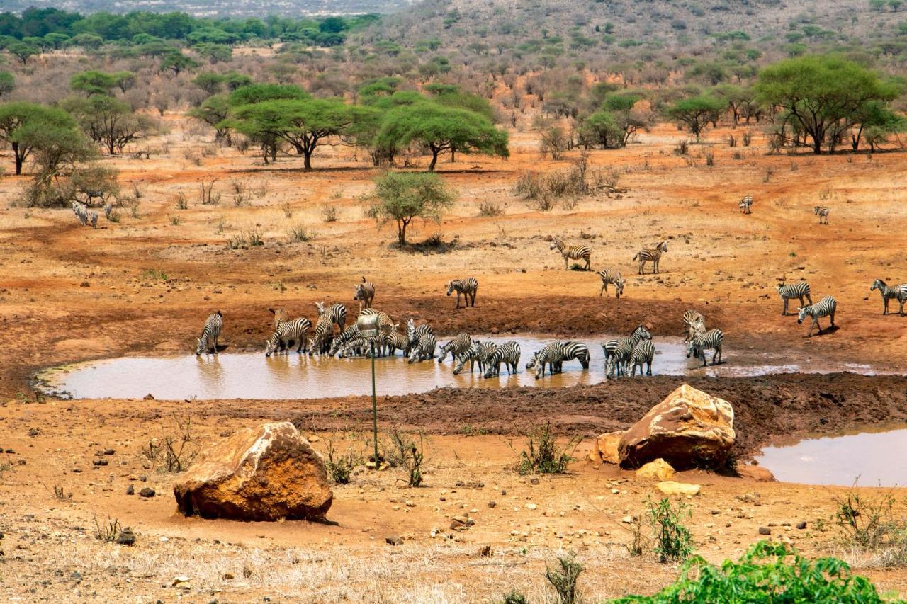 Kilaguni Serena Safari Lodge Tsavo ภายนอก รูปภาพ
