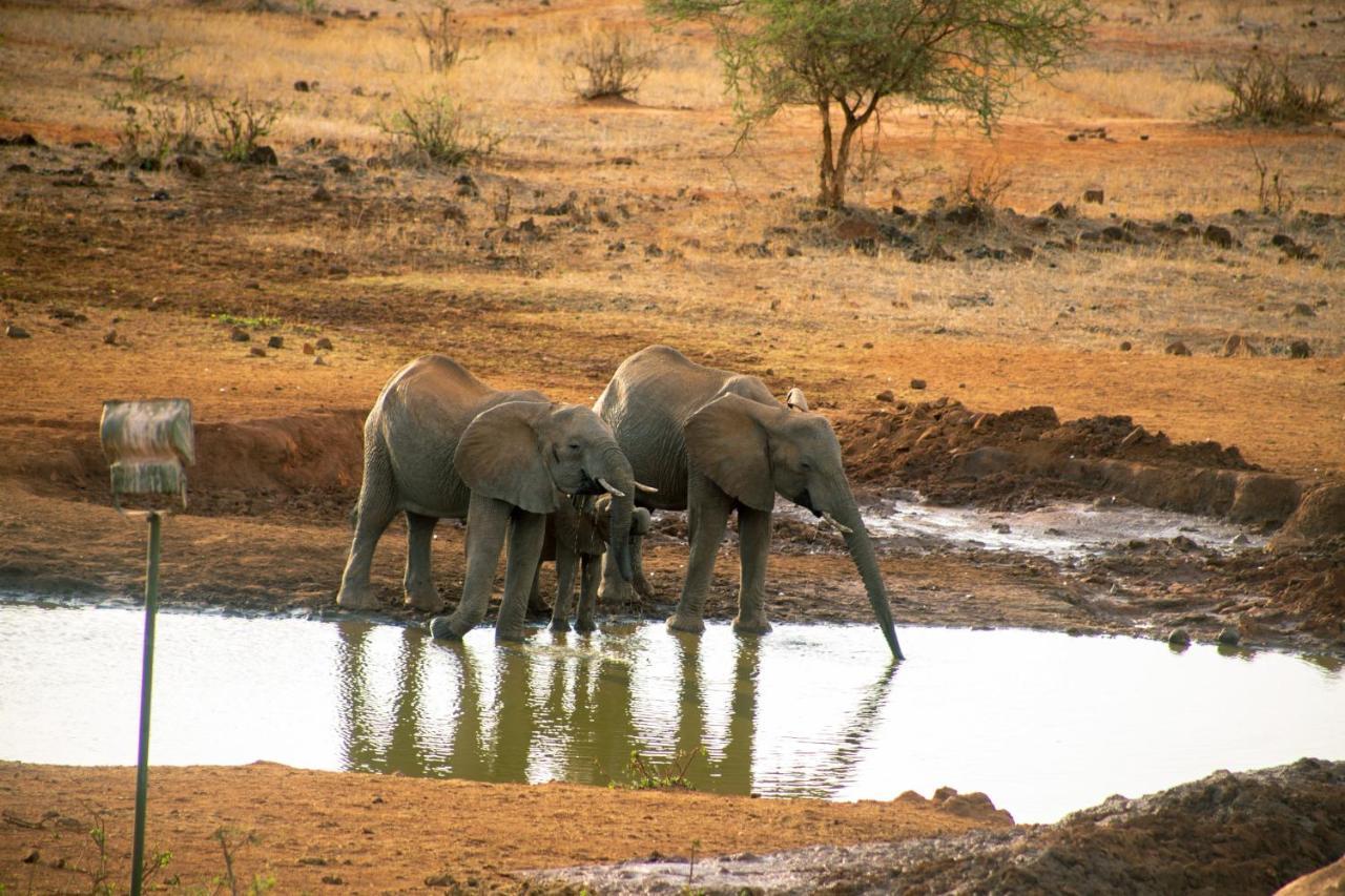 Kilaguni Serena Safari Lodge Tsavo ภายนอก รูปภาพ