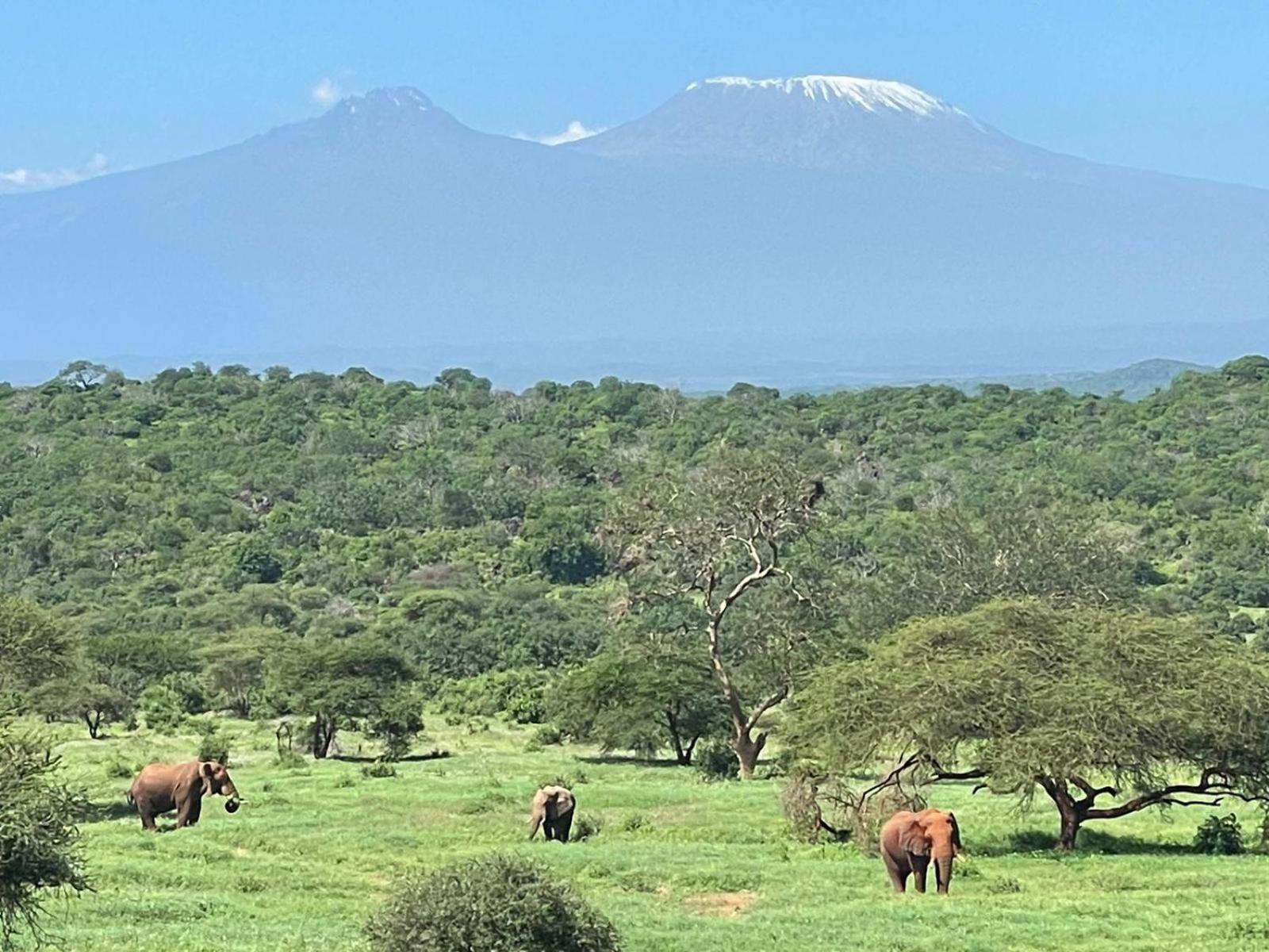 Kilaguni Serena Safari Lodge Tsavo ภายนอก รูปภาพ