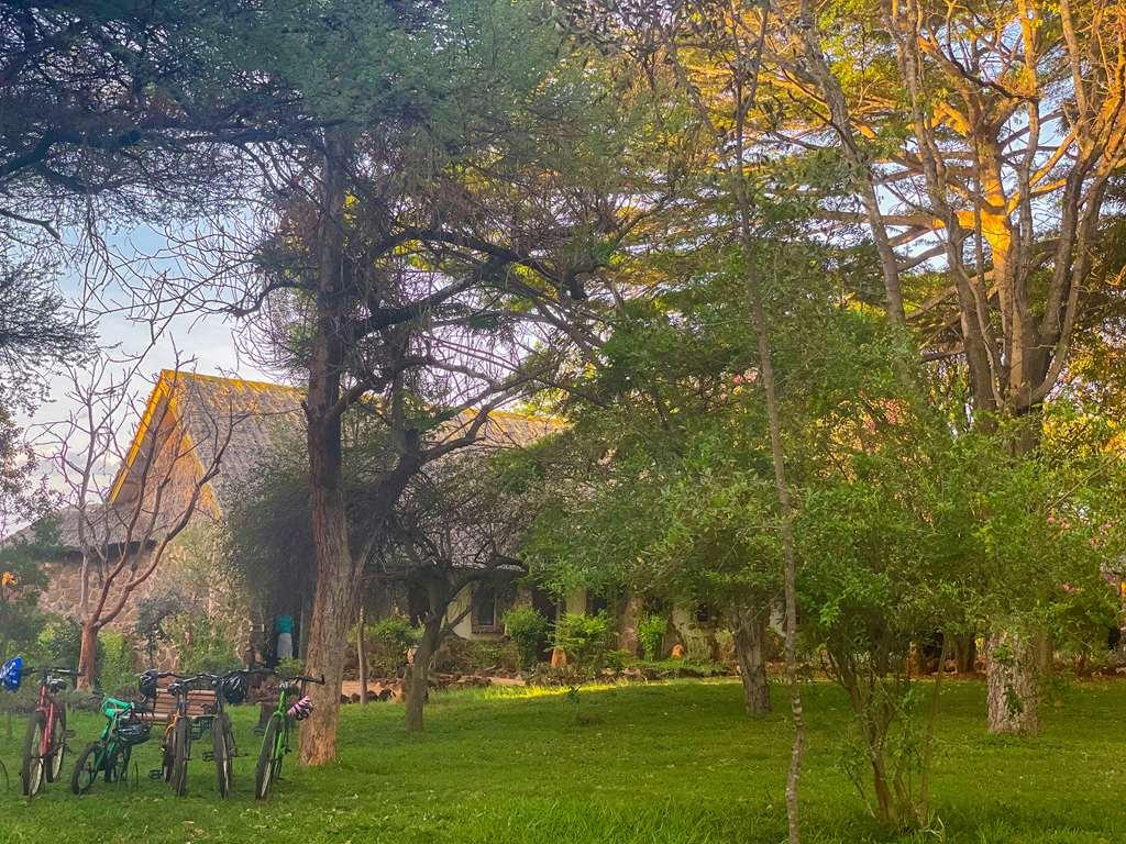 Kilaguni Serena Safari Lodge Tsavo สิ่งอำนวยความสะดวก รูปภาพ